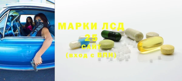 молекула духа Няндома