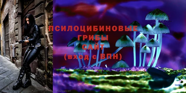 мескалин Осинники