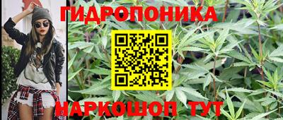 стаф Бийск