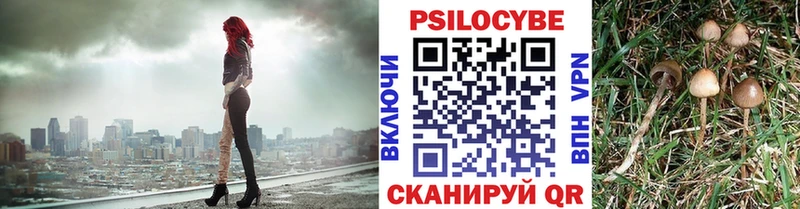 shop формула Карпинск Галлюциногенные грибы GOLDEN TEACHER продажа наркотиков
