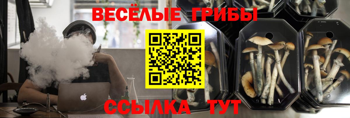 Карпинск  Галлюциногенные грибы GOLDEN TEACHER  Вход с VPN 